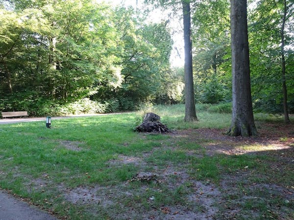 Haarlemmerhout