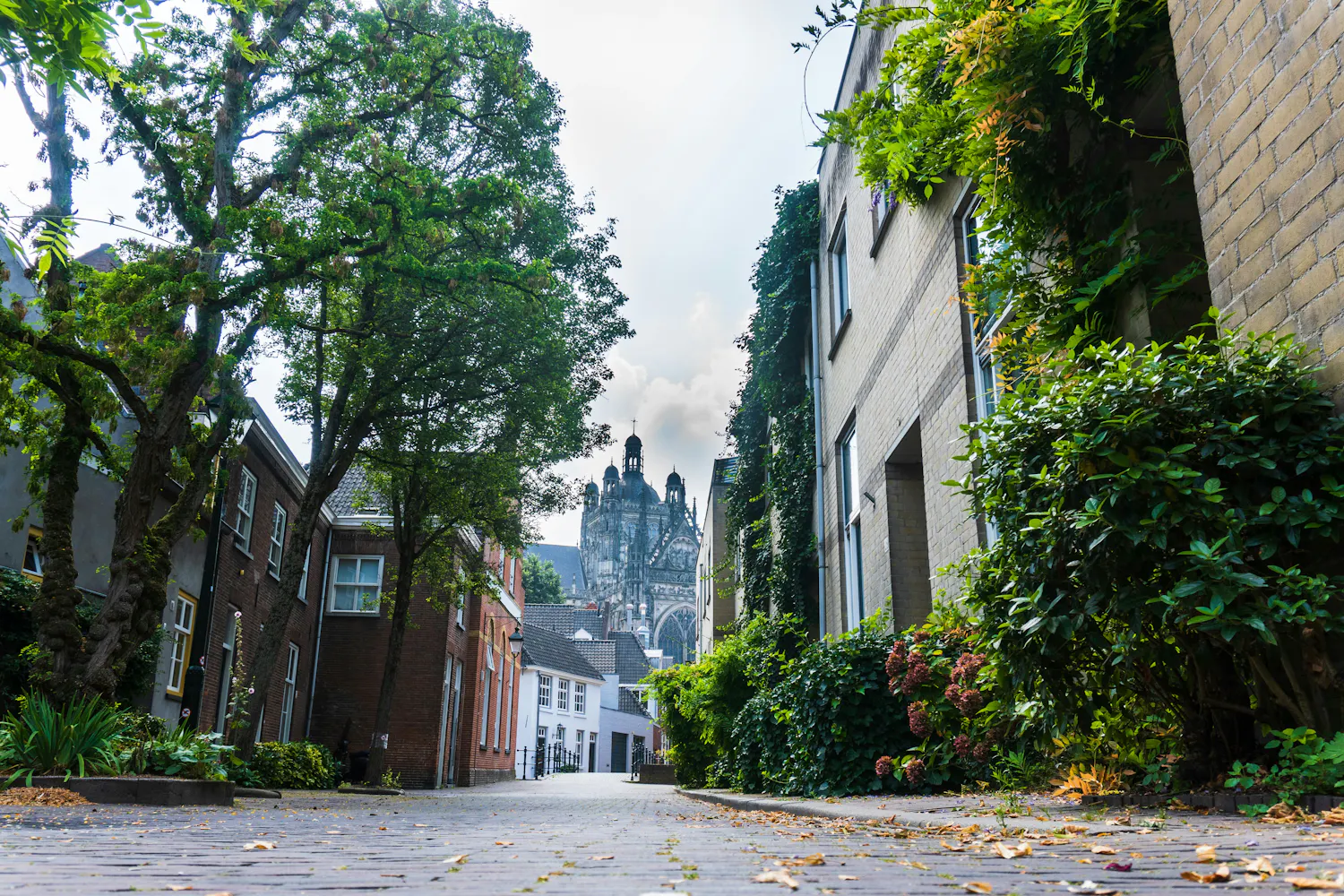 Photo of Den Bosch