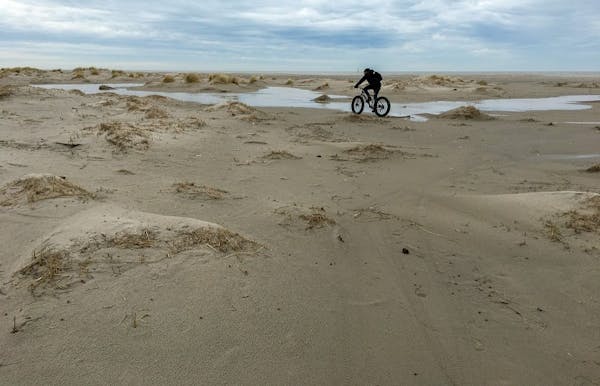 Beachcombing