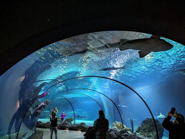 Diergaarde Blijdorp