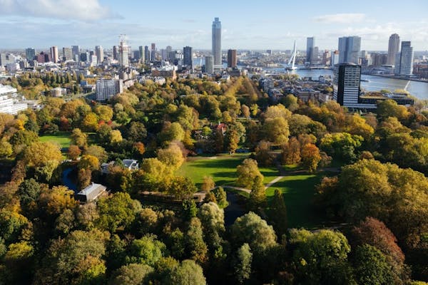 Het Park bij de Euromast