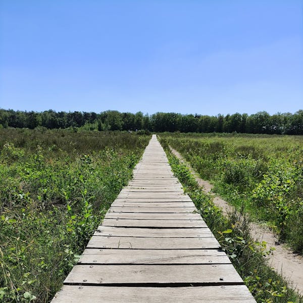 Wandelroute Breda