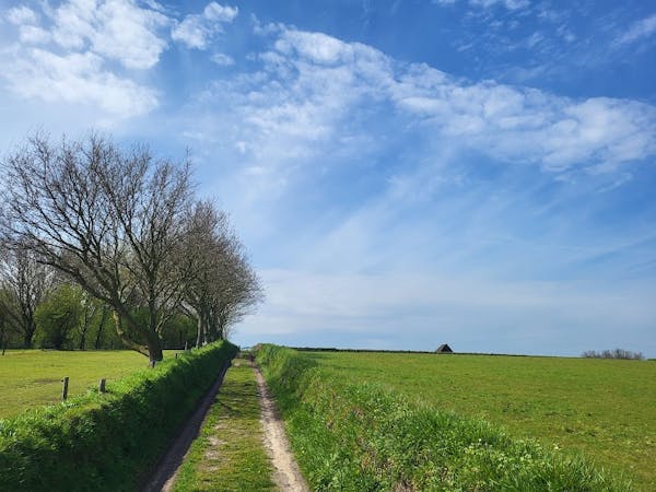 De Texelse Wandeltochten