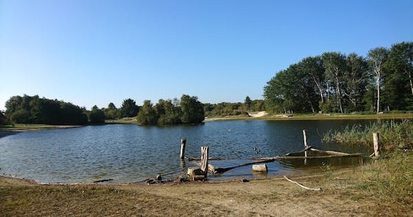 De Berkenplas