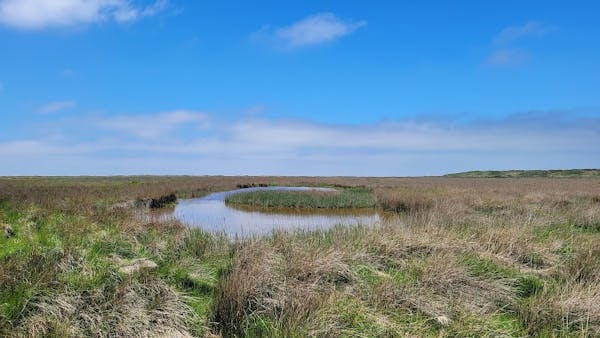 Westerplas