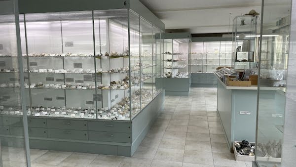Bezoek aan Schelpenmuseum Paal 14