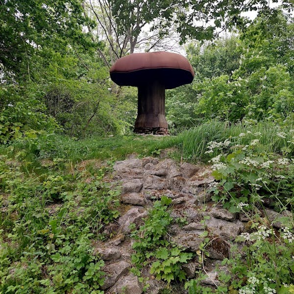 Speelhof Hoogerzael