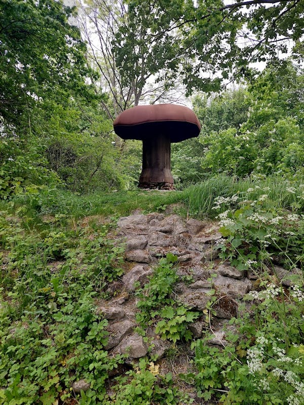 Speelhof Hoogerzael