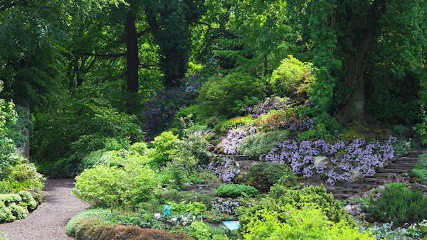 Botanic Gardens