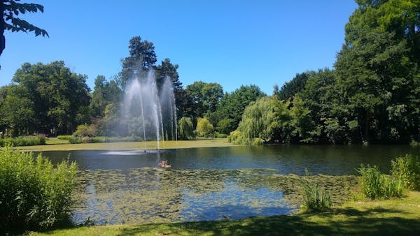 Picknick in het Wilhelminapark