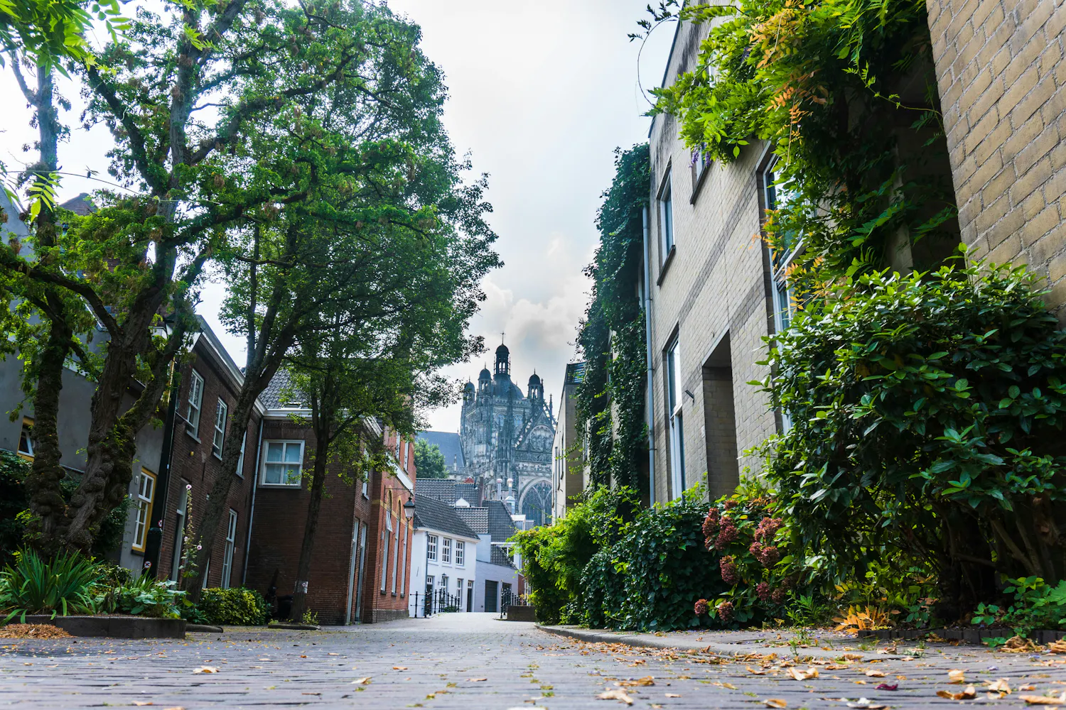 Photo of Den Bosch