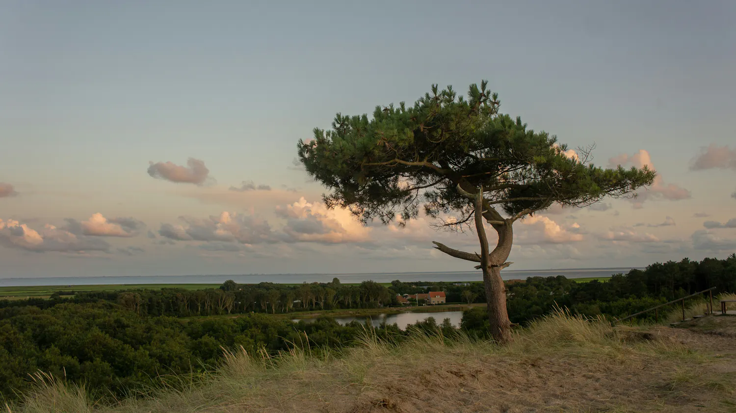 Photo of Terschelling
