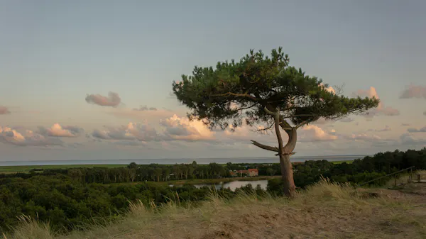 Terschelling met kinderen