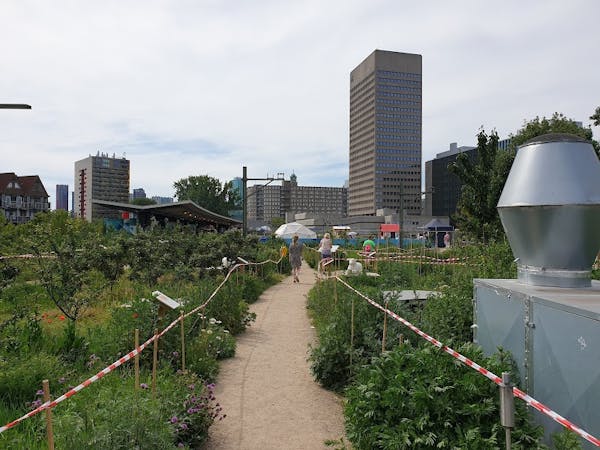 Verkenning van de Luchtsingel
